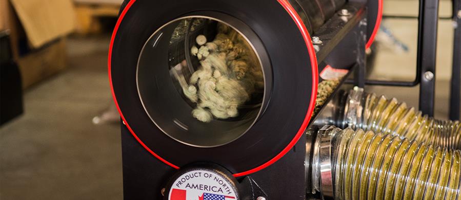 100,000+ U.S. WORKERS ARE NOW EMPLOYED BY MARIJUANA COMPANIES