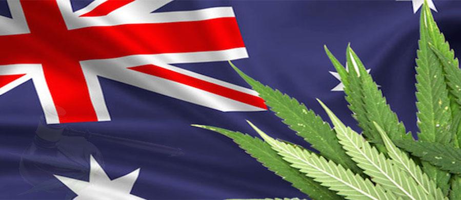 MEDICAL MARIJUANA TO BE LEGALIZED IN AUSTRALIA THIS FALL