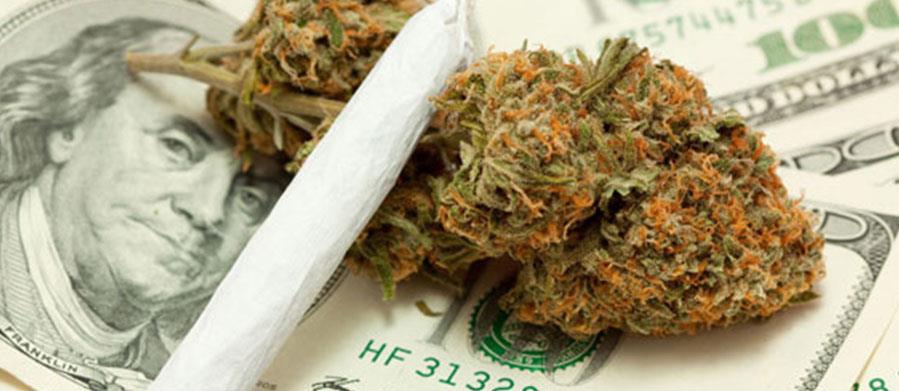 PROFITABILITY IN THE CANNABIS INDUSTRY