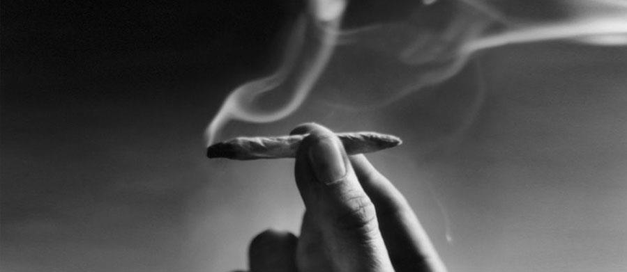 CANNABIS CUP