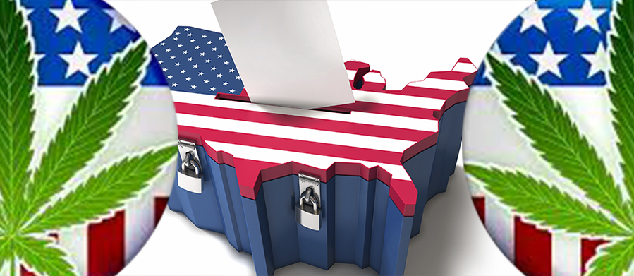 The 9 U.S. State Polls For MJ Election Measures Tight Heading Into Election Day