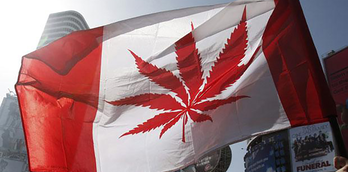 The New Legislation of Marijuana Laws in Canada