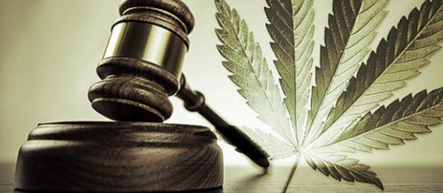 HUGE COURT RULING ON GUNS & MMJ COULD LEAD TO LOST DISPENSARY SALES