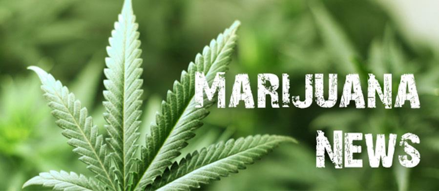 HERE WE GO: WEED NEWS FOR THE WEEK