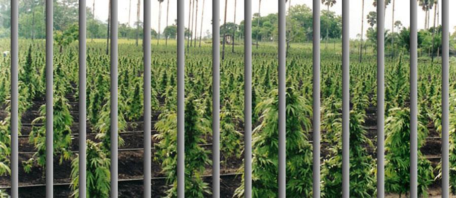 CA CITY SELL PRISON TO CANNABIS EXTRACTION COMPANY