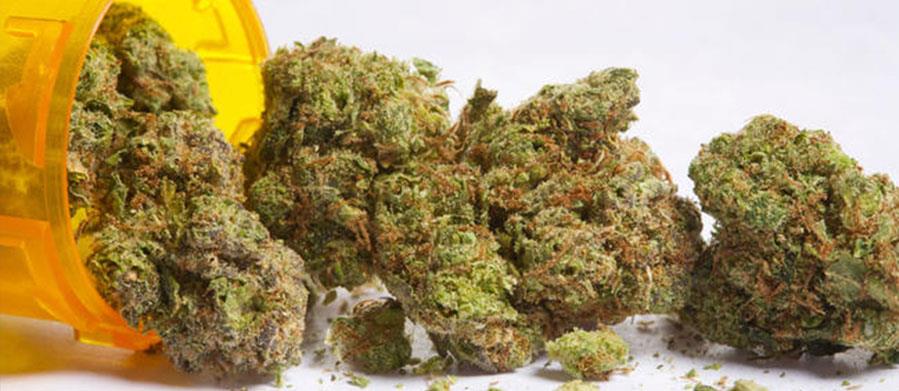 CALIFORNIA’S RECREATIONAL MARIJUANA CAMPAIGN MAKES THE NOVEMBER BALLOT, HANG TIGHT