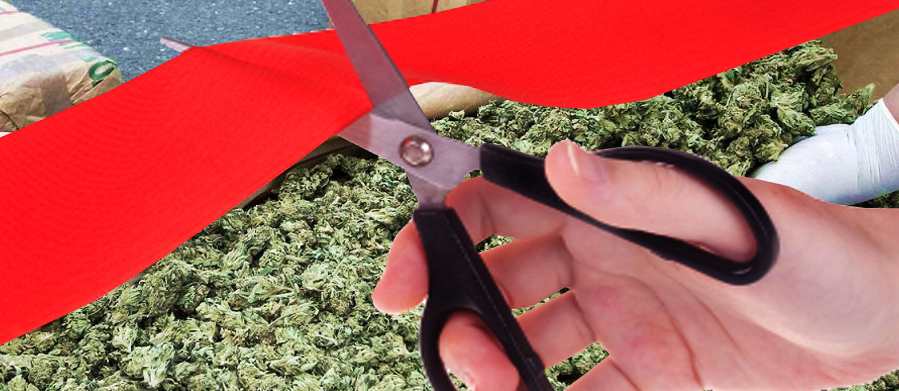 THE RED TAPE – MARIJUANA BANS IN SAN DIEGO COUNTY & CALIFORNIA