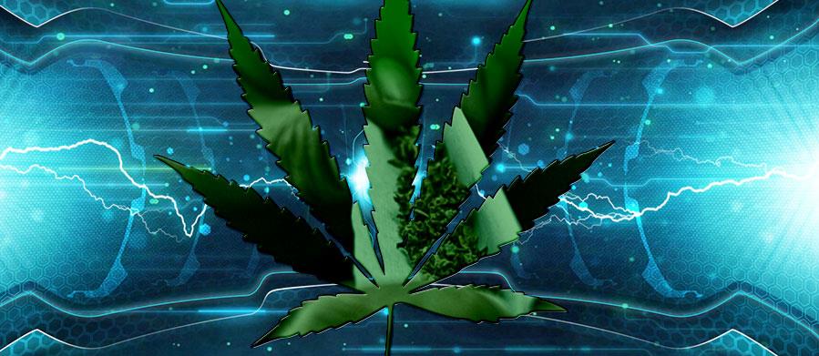 MICROSOFT’S BIG CANNABIS SPLASH