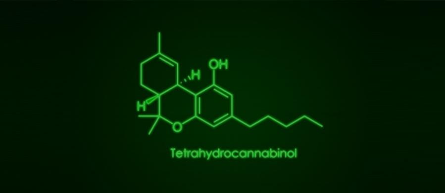 SHOULD AND CAN OUR PETS BE TREATED WITH MEDICAL MARIJUANA TOO?..