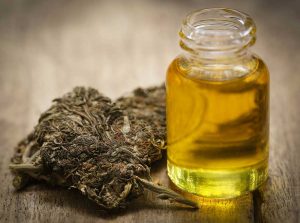 cannabis extraction is a new fad in the industry