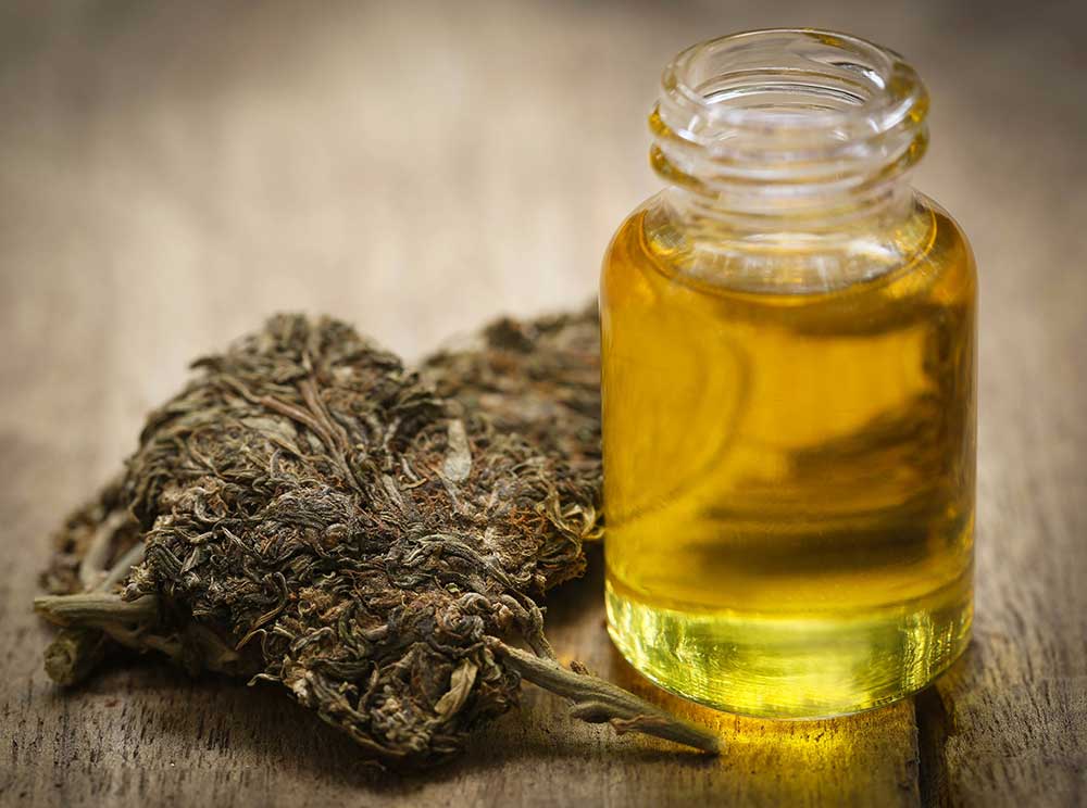 The Latest Fad in the Industry – Cannabis Extraction