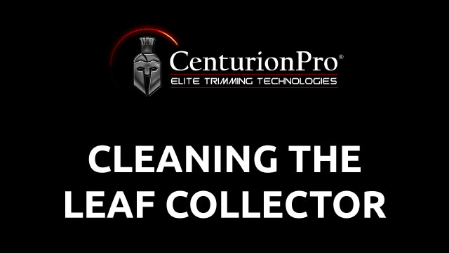 Cleaning the Leaf Collector