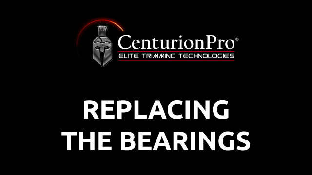 Replacing the Bearings