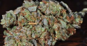 Better smelling bud