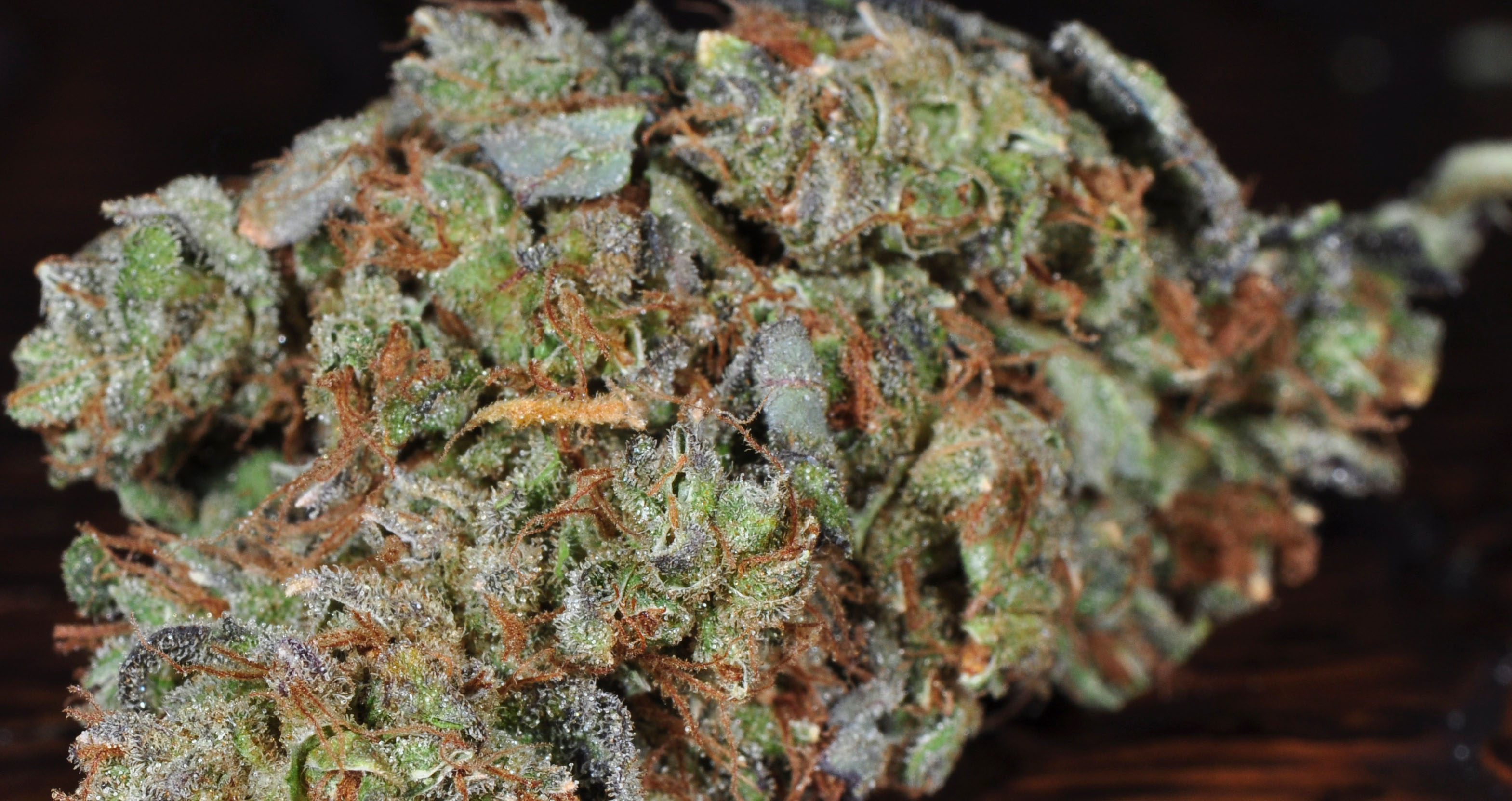 Your Guide to Producing Better Smelling Bud
