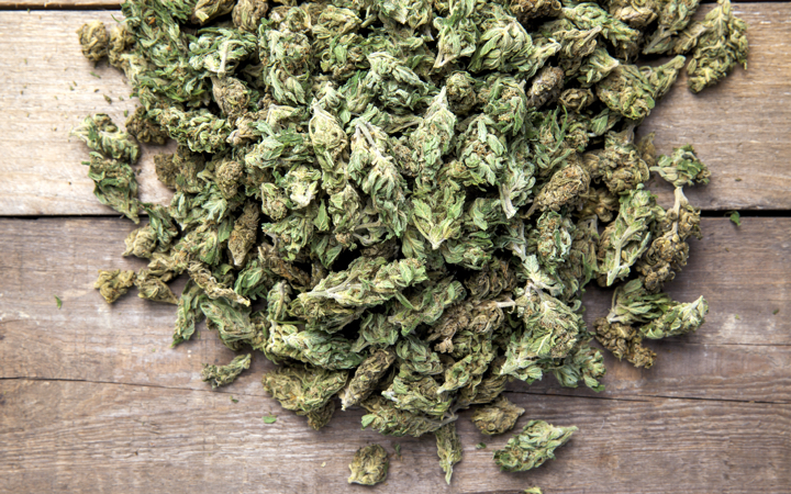 cannabis grow limits