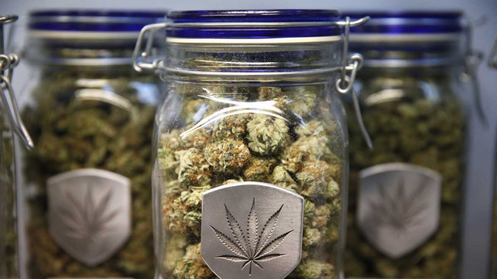 cannabis grow limits