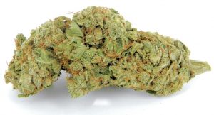 Challenging cannabis strains