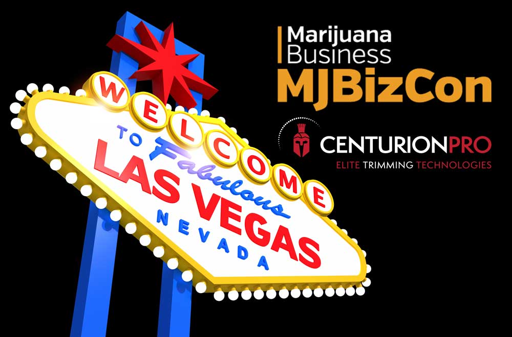 Gearing Up for MJBiz in Las Vegas!