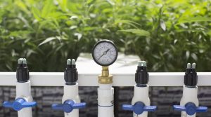 Automating Your Cannabis Grow