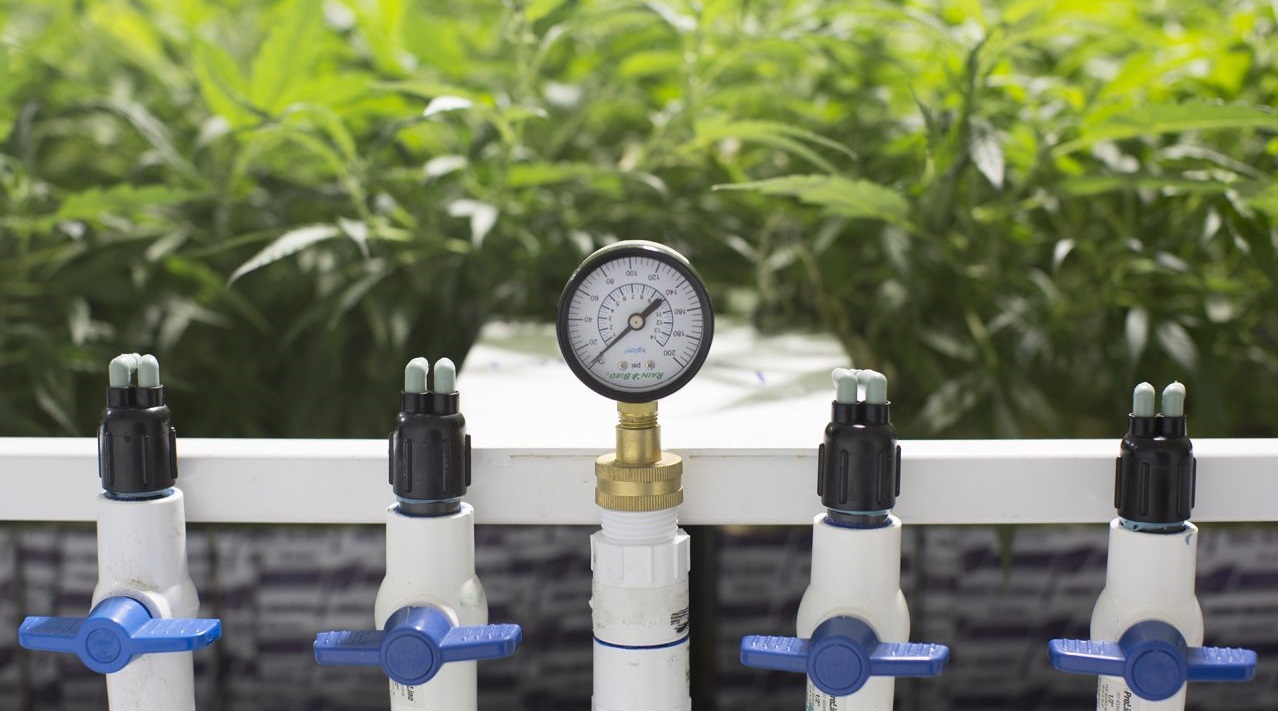 Automating Your Cannabis Grow